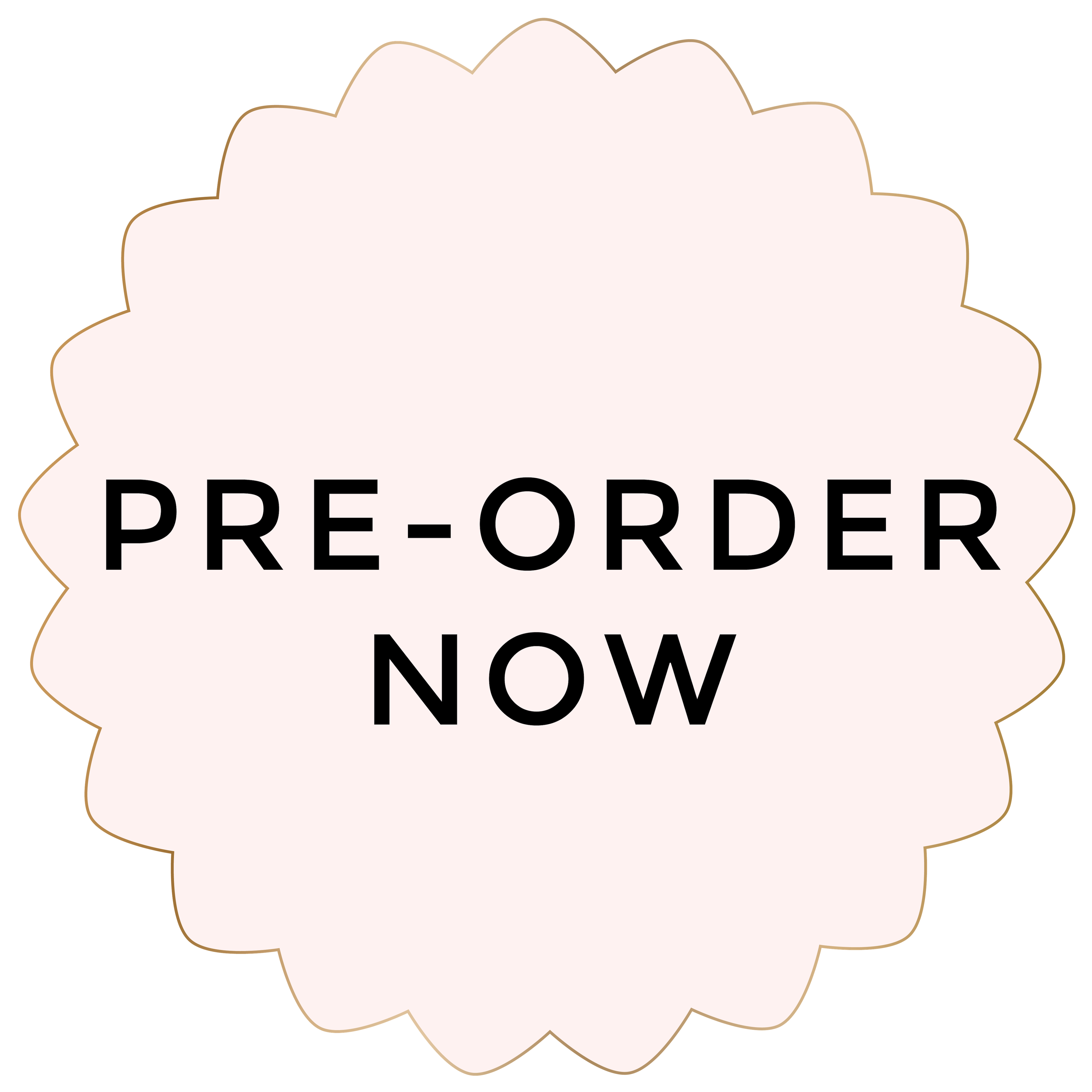 2024 Daily Planners Steph Pase Planners