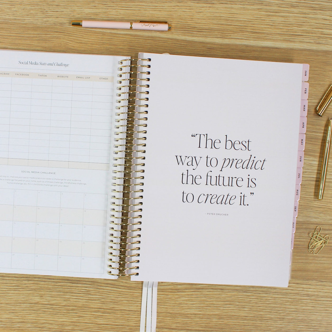 2026 Business Planner - Blush