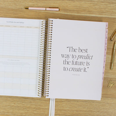2026 Business Planner - Blush