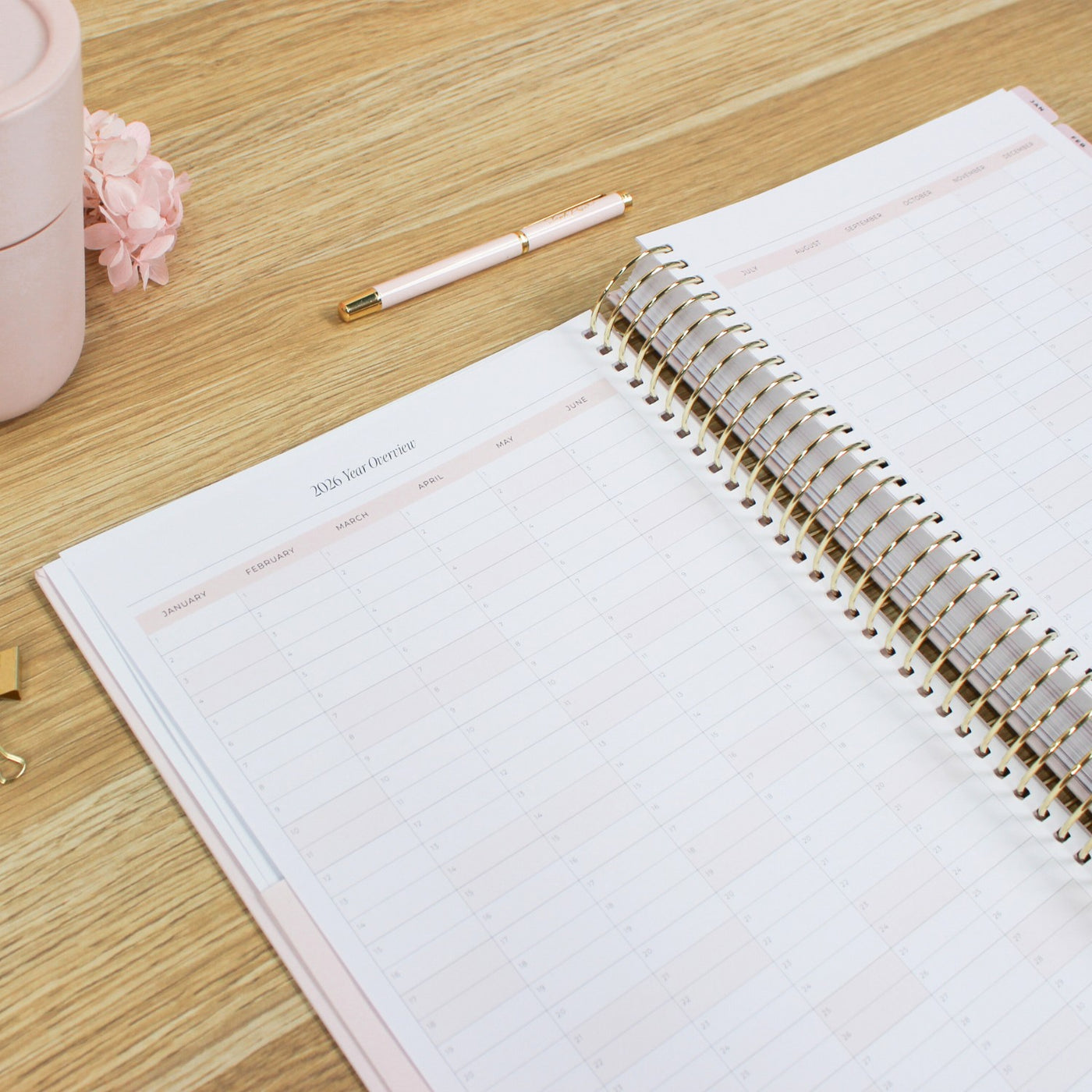 2026 Business Planner - Blush
