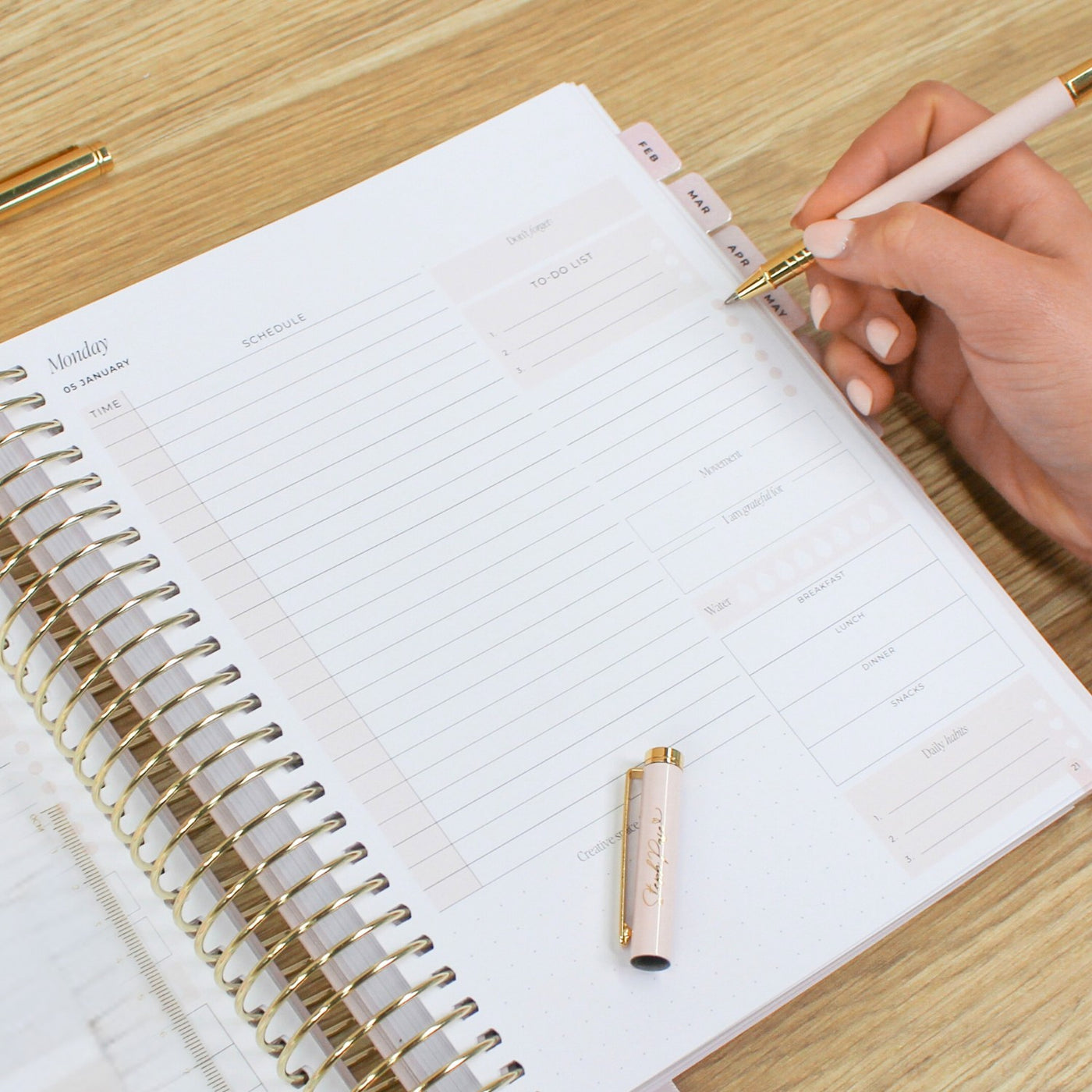 2026 Daily Planner - Blush