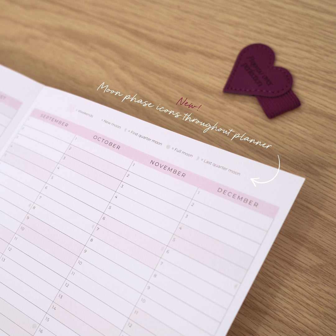 2027 Daily Planner - Berry