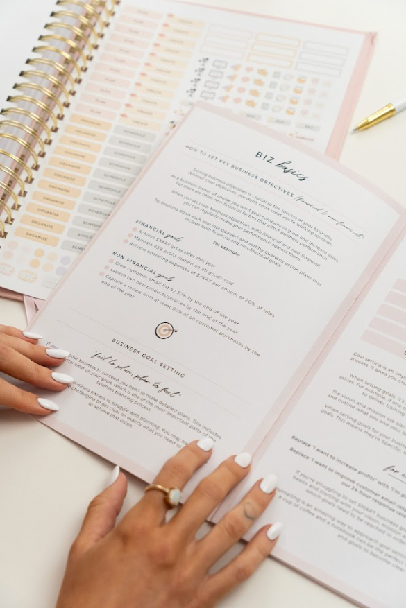 2024 Business Planner - Blush