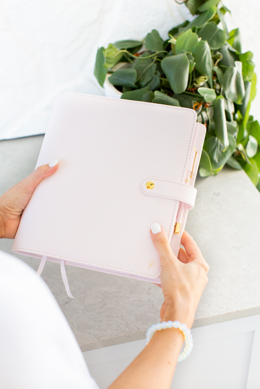 Steph-Pase-Signature-Daily-Classic-Cover-Blush-2.png